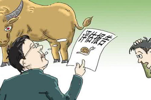 石家庄评估咨询服务价格指南 如何选择高性价比的服务机构